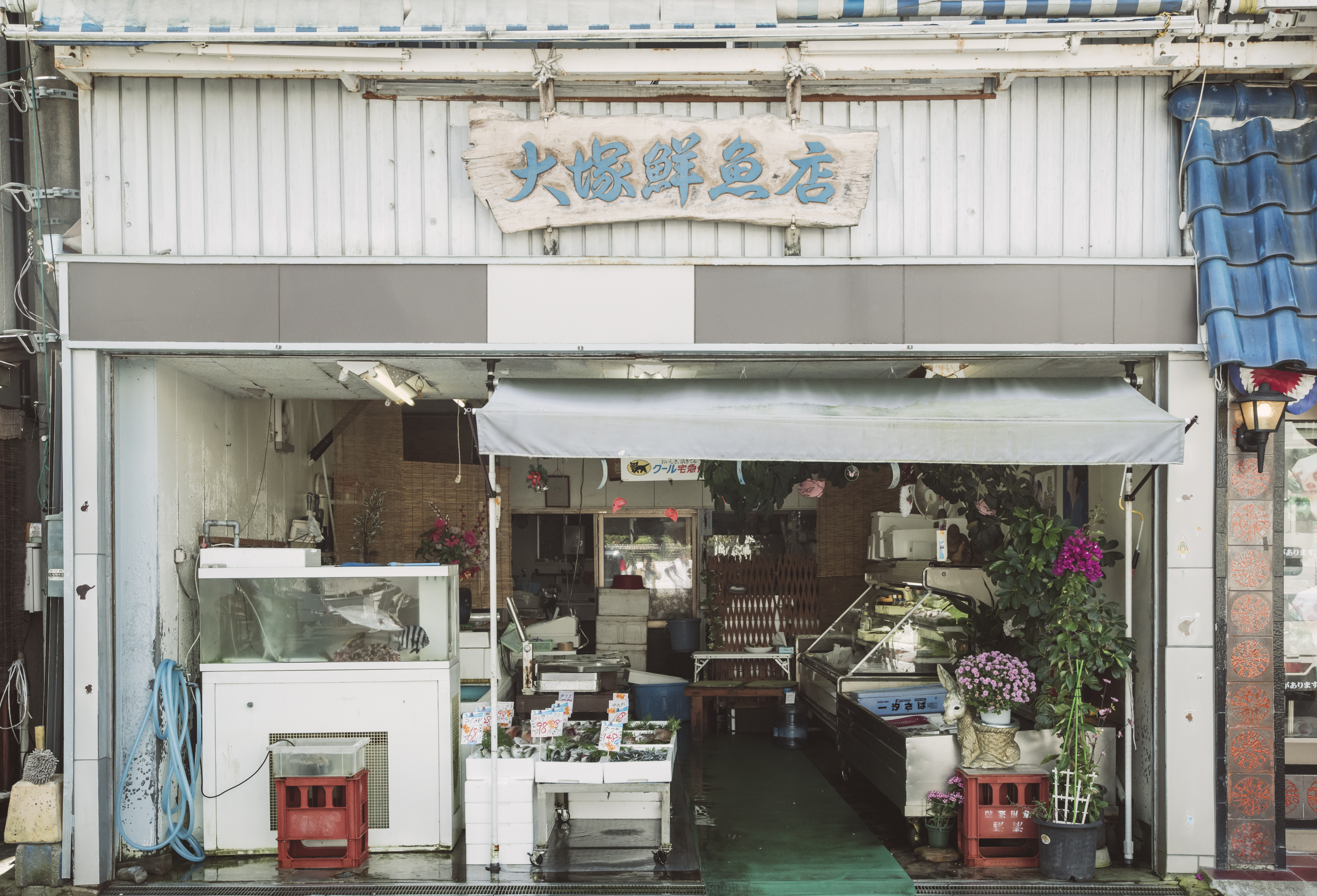 鮮魚店の写真